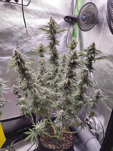 Growreport Bild 9