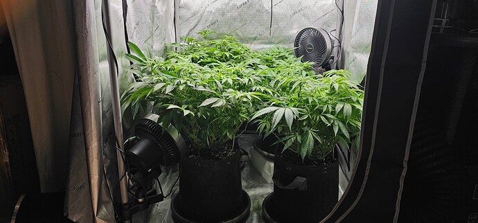 Growreport Bild 22