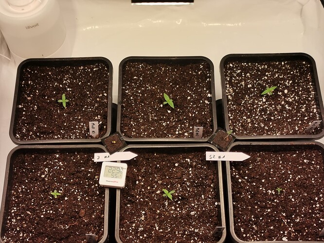 Growreport Bild 2