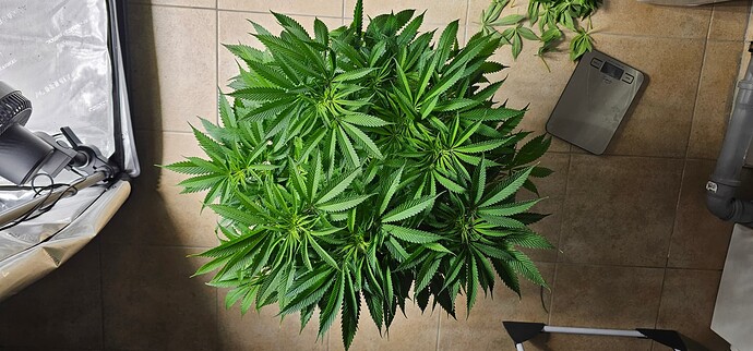 Growreport Bild 18