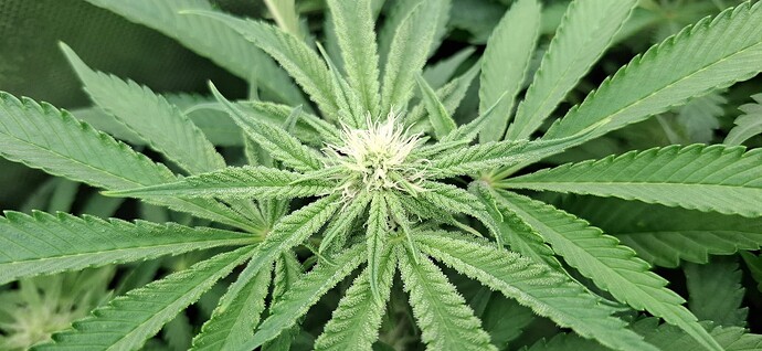 Growreport Bild 15