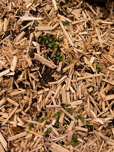Growreport Bild 19