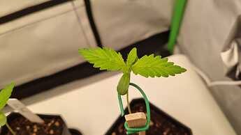 WhatsApp Image 2024-04-30 at 20.46.34