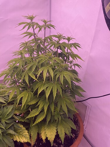 Growreport Bild 4