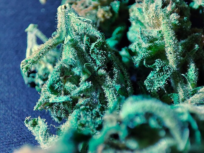 Growreport Bild 6