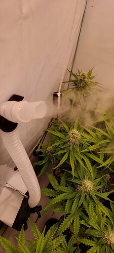 Growreport Bild 8