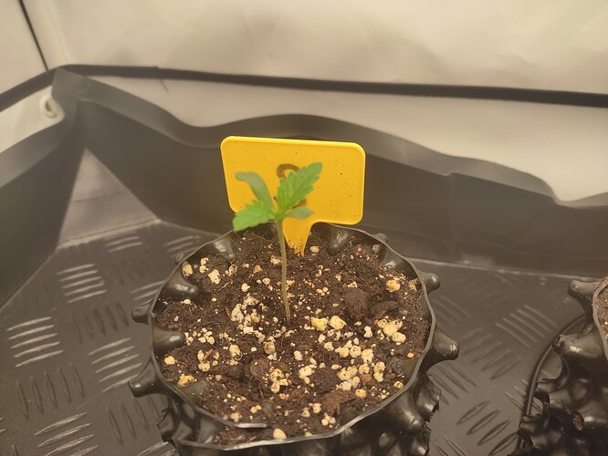 Growreport Bild 7