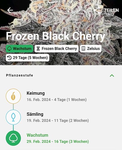 Growreport Bild 1