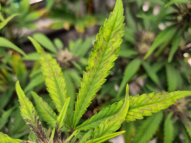 Growreport Bild 10