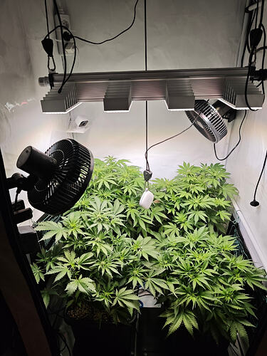 Growreport Bild 1