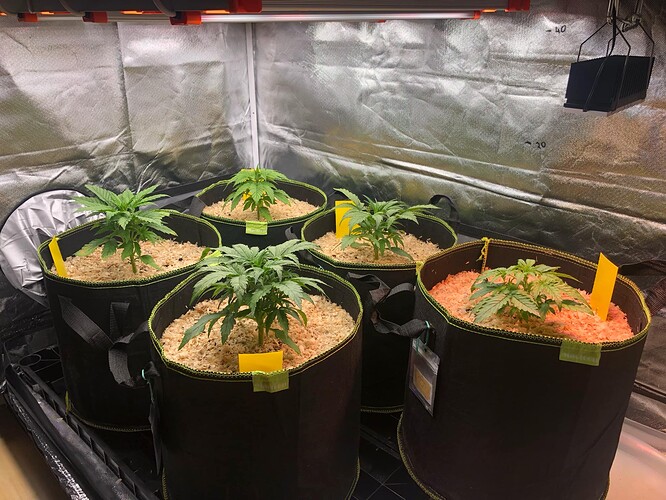 Growreport Bild 11