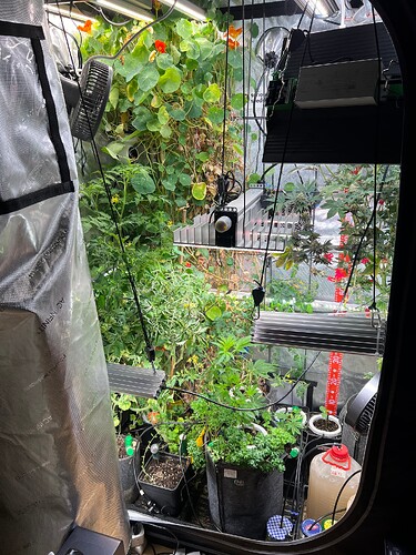Growreport Bild 3