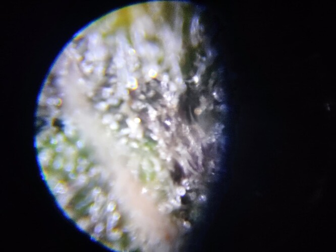 Growreport Bild 51