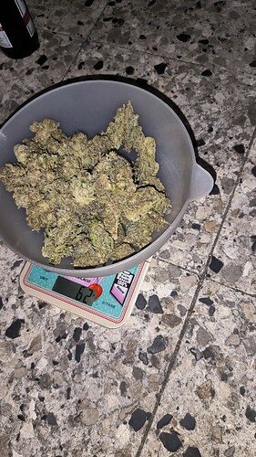 Growreport Bild 1