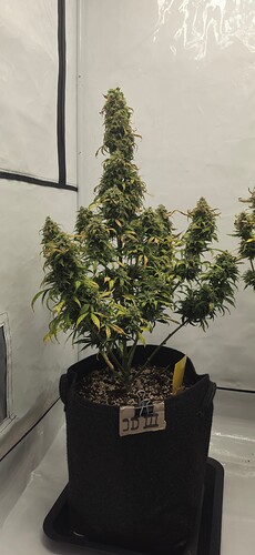 Growreport Bild 5