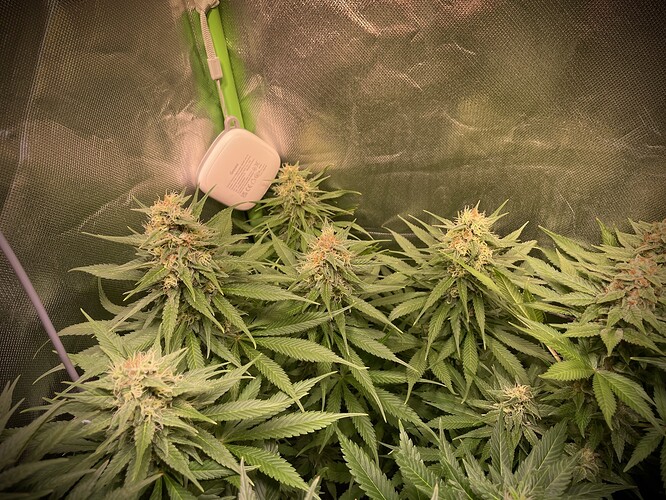 Growreport Bild 16