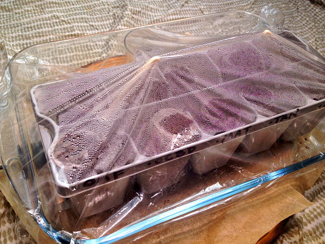 Grow26_0504_4