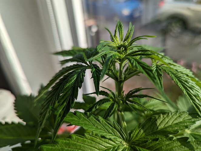 PXL_20240523_163324632