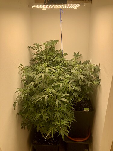 Growreport Bild 16