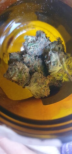 Growreport Bild 6