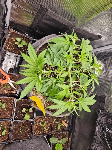 Growreport Bild 14