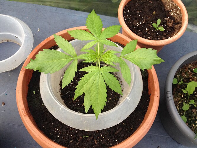Growreport Bild 19