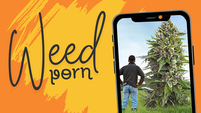 weedporn-header-april26