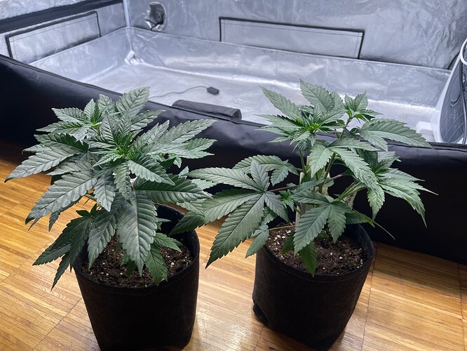 Growreport Bild 10