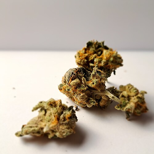 Growreport Bild 35