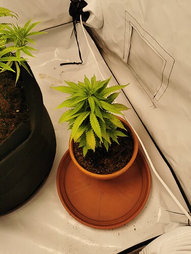 Growreport Bild 8