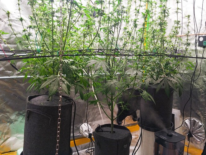 Growreport Bild 16