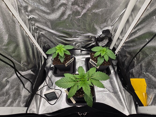 Growreport Bild 11