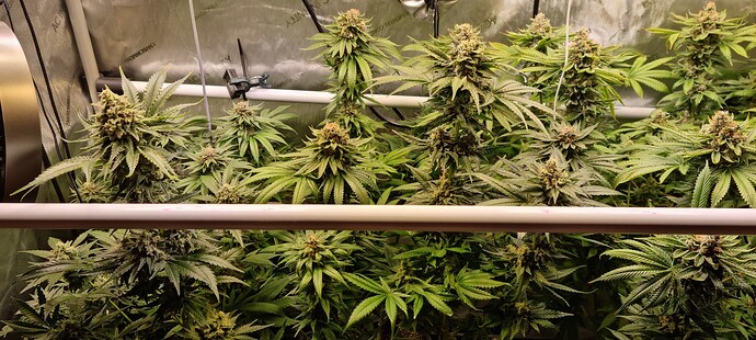 Growreport Bild 10