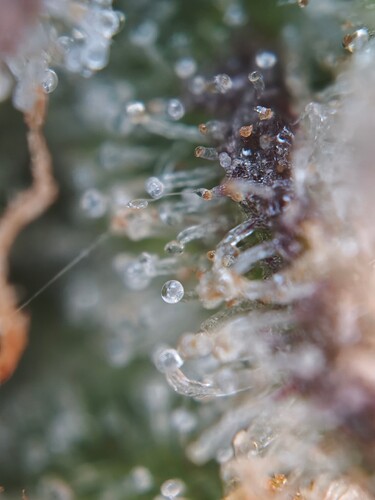 MVIMG_20251125_175952