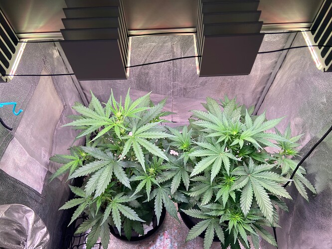 Growreport Bild 13