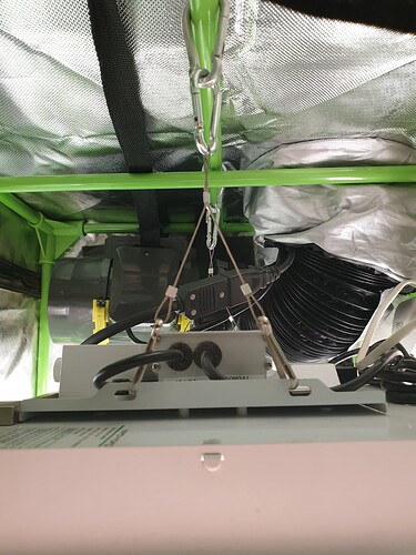 Growreport Bild 8