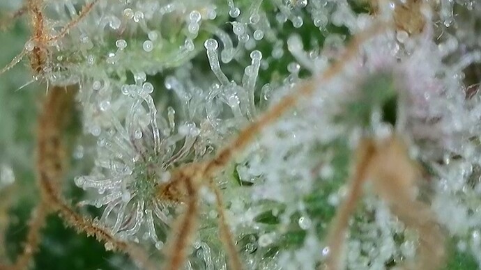 Growreport Bild 47