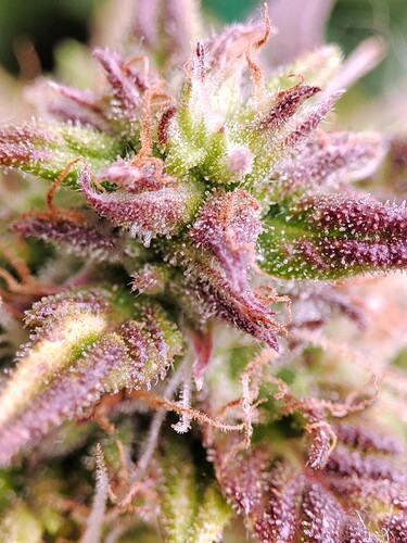 Growreport Bild 10