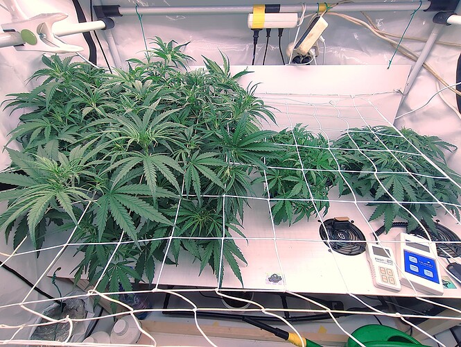 Growreport Bild 13