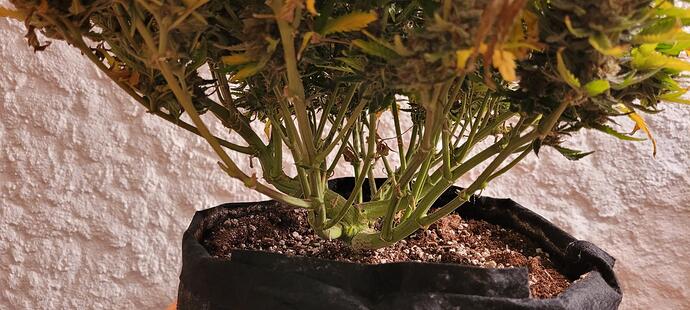 signal-2024-04-16-19-03-22-779-3