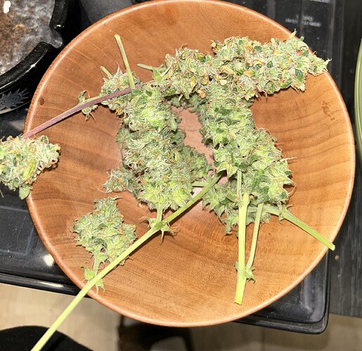 Growreport Bild 12
