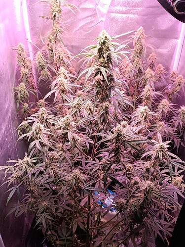 Growreport Bild 24
