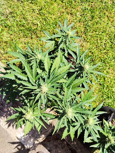 Growreport Bild 20
