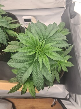 Growreport Bild 8