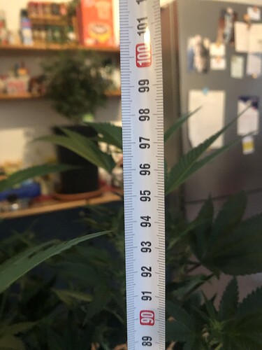 Growreport Bild 13