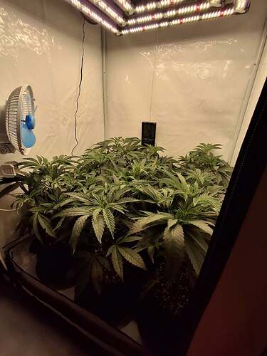 471705206_122162285612293599_7099076385433014184_n