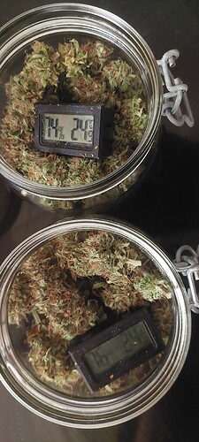 Growreport Bild 14