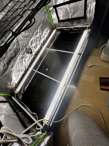 Growreport Bild 6