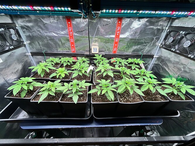 Growreport Bild 11