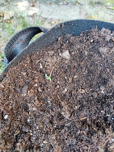 Growreport Bild 25